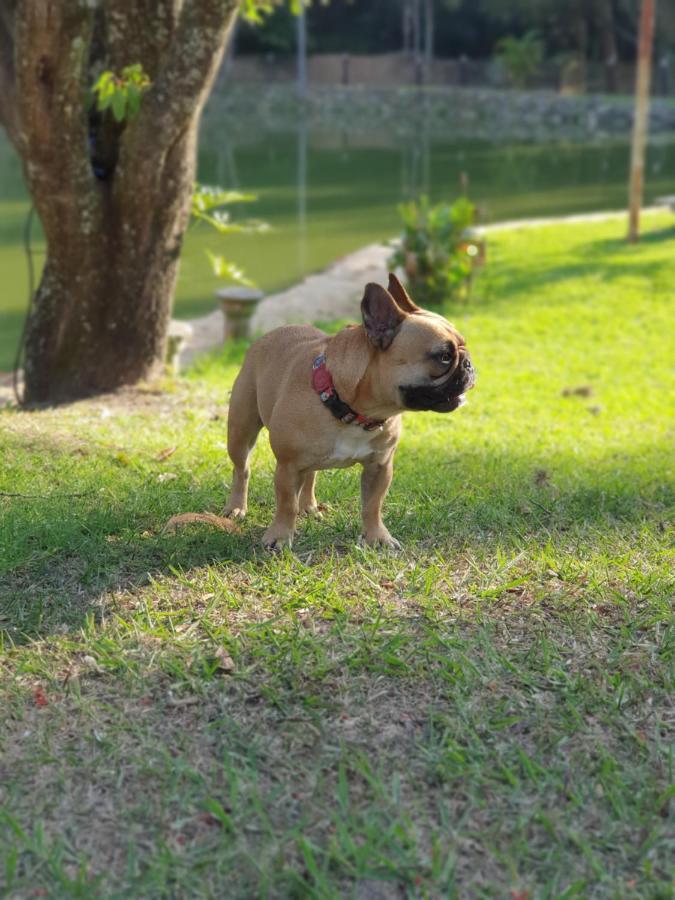 Pousada Paraiso Serra Negra  Buitenkant foto